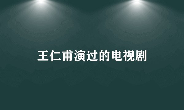 王仁甫演过的电视剧