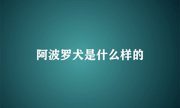 阿波罗犬是什么样的