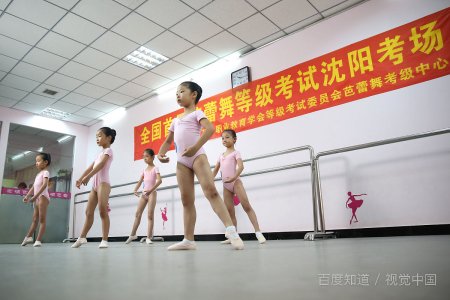 艺术类考生如何填报志愿？