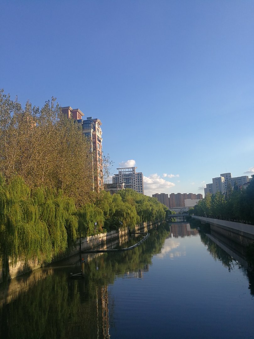 专家建议高考把外语改为选考，专家给出这一建议的原因是什么？