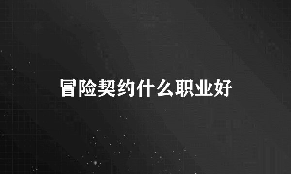 冒险契约什么职业好