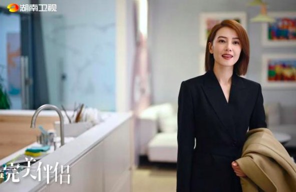 完美伴侣剧情介绍