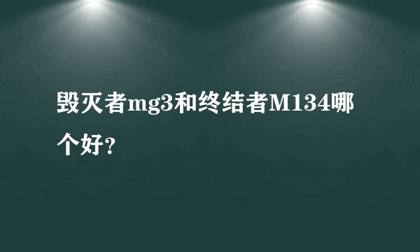 毁灭者mg3和终结者M134哪个好？