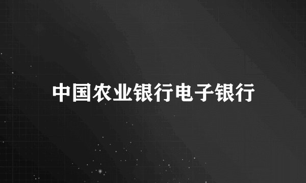 中国农业银行电子银行