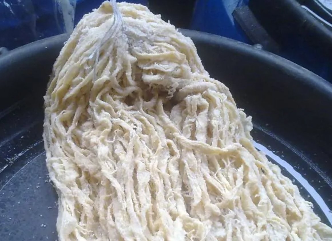 肠衣是什么做的?