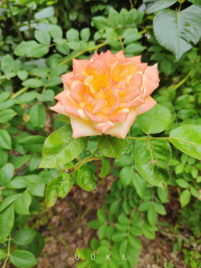 如何做一个低调的有钱人？