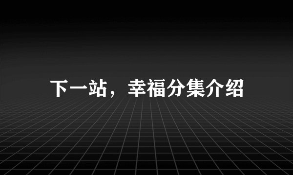 下一站，幸福分集介绍