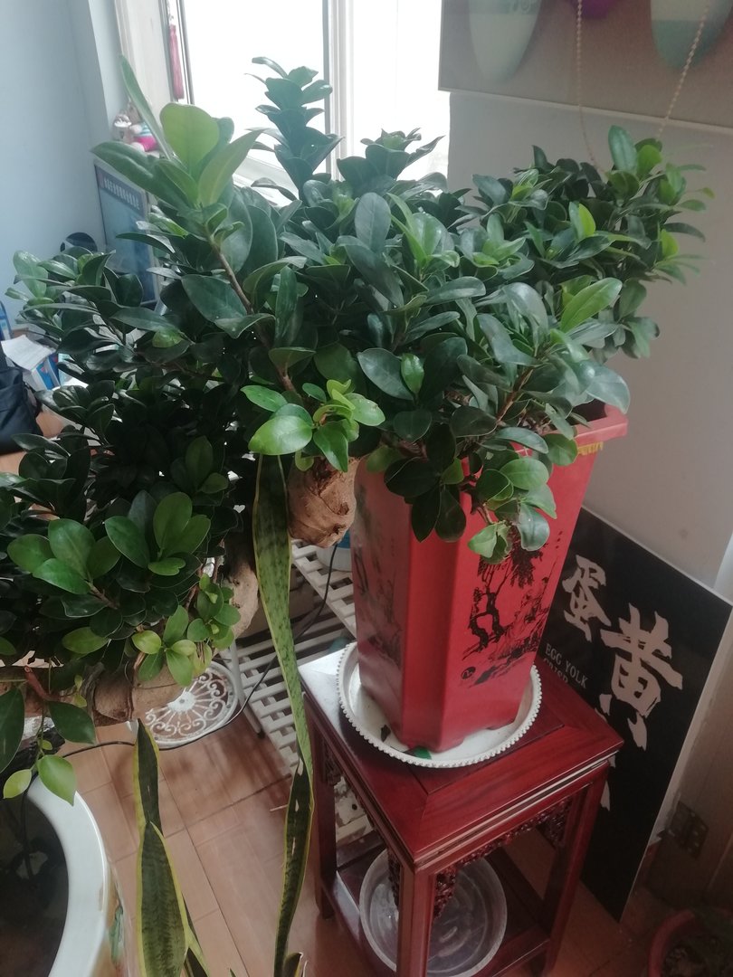 汽车包真皮座椅大概需要多少钱？