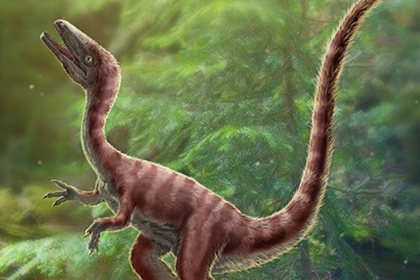 科学家发现迄今最小恐龙，迄今最小恐龙长的生活习性是什么样子？