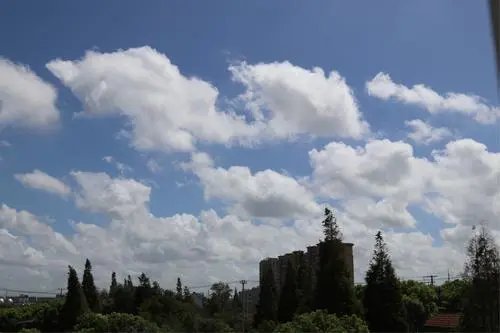 武汉暴雨后现棉花白云海,现场有多震撼?