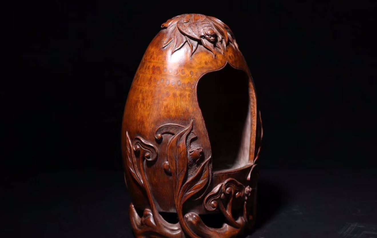 蝙蝠进屋，是吉利还是不吉利啊？