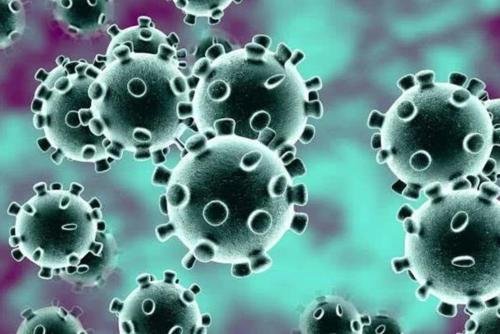 广州4例确诊病例属于同一感染链条,具体情况是怎样的?