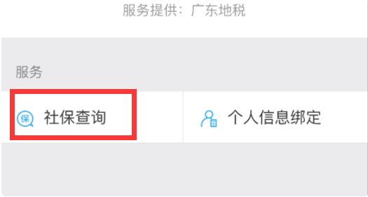 武汉市怎么在网上查社保？