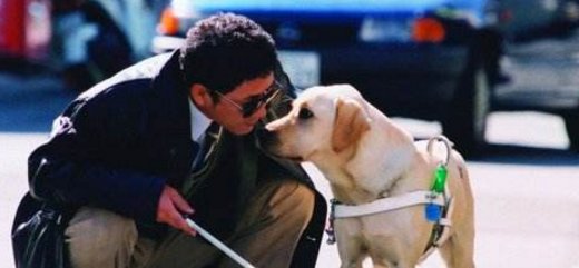 《小Q》票房破亿,这部电影的看点到底在哪里?