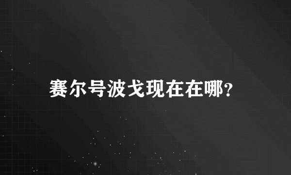 赛尔号波戈现在在哪？