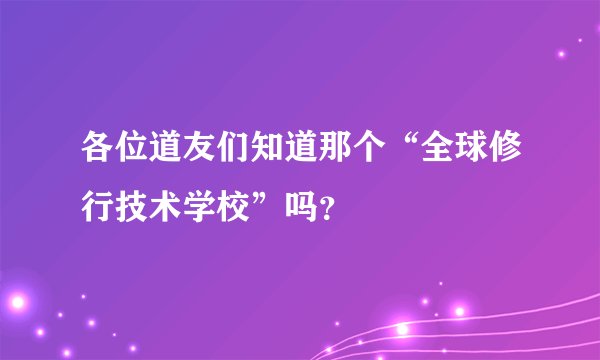 各位道友们知道那个“全球修行技术学校”吗？