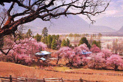 舟山哪里有好玩景点？