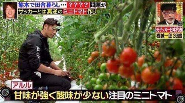 卷诚一郎退役之后，生活过得怎样？