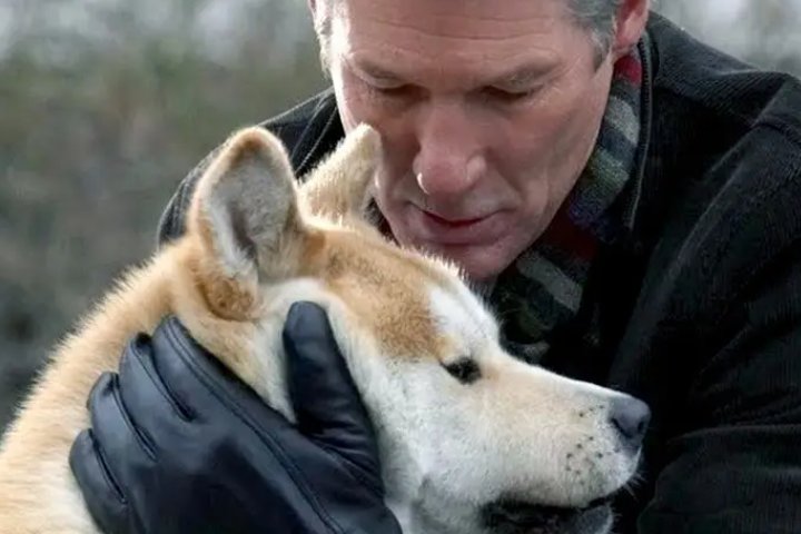 关于狗狗的电影有哪些