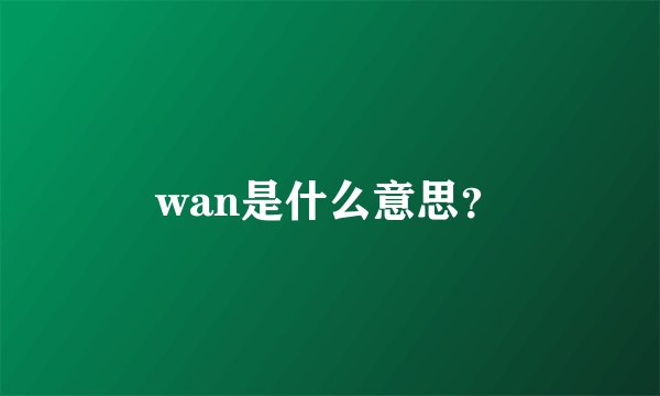 wan是什么意思?