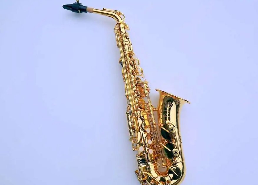 一把萨克斯需要多少钱？初学者一般买个什么价位的，什么牌子的就可以了？