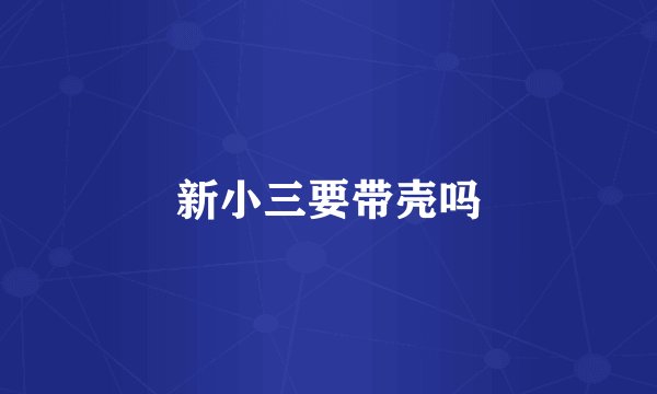 新小三要带壳吗