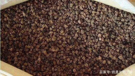 晚上睡不着觉老是胡思乱想怎么办?