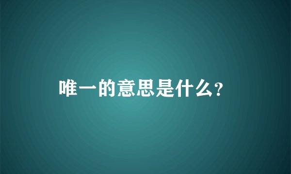 唯一的意思是什么？