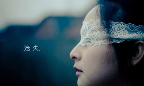 Stray是什么意思