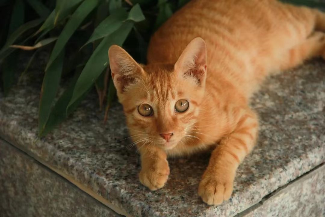 浙江理工大学怎么样
