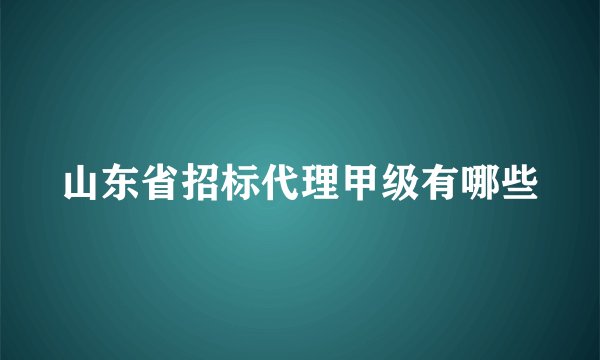 山东省招标代理甲级有哪些
