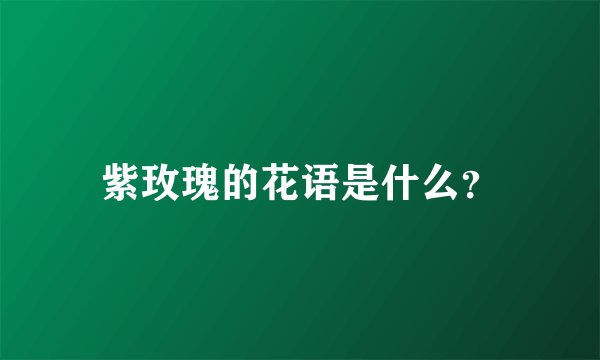 紫玫瑰的花语是什么？