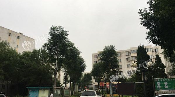 北京大到暴雨天气具体情况是怎样的？