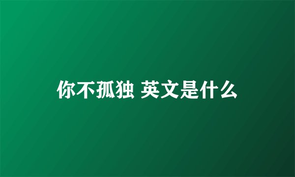 你不孤独 英文是什么