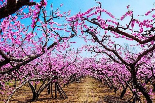 舟山哪里有好玩景点？