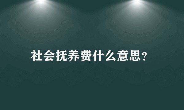 社会抚养费什么意思？