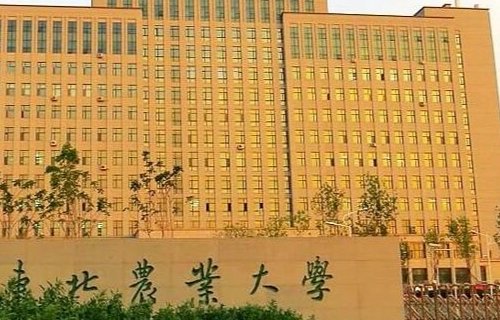 高考490分可以上什么大学