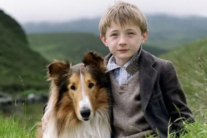 关于狗狗的电影有哪些