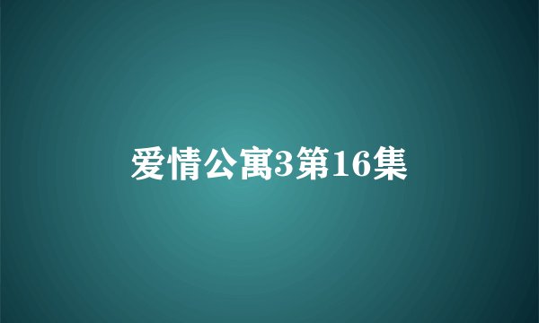 爱情公寓3第16集