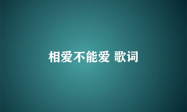 相爱不能爱 歌词