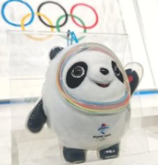 冬奥会官方:会说话的冰墩墩是假的，我们该如何区分真假冰墩墩？