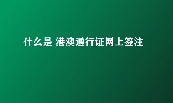 什么是 港澳通行证网上签注