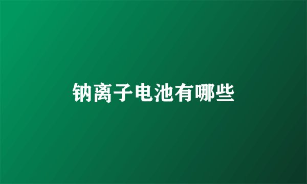 钠离子电池有哪些