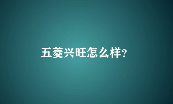 五菱兴旺怎么样？