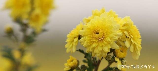 晚上睡不着觉老是胡思乱想怎么办?