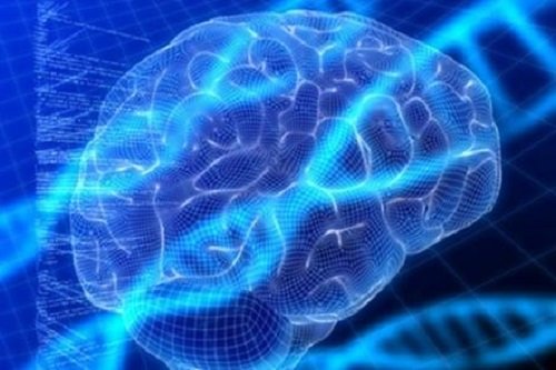 如果模拟人脑项目没有失败，人类的意识是不是真的就可以达到永生？