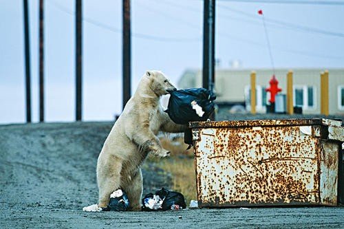 日本北海道小岛一夜消失,官方正式确认,具体事件是怎么回事?