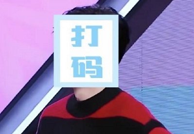 人大代表建议对劣迹艺人的惩戒分等级，是否有这个必要性？