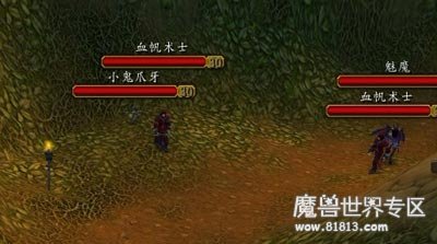 wow哪里掉花羽鹦鹉？掉率是多少？谁掉率最高？