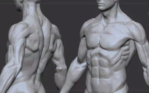 人的身体有多不合理这个话题上热搜，你觉得人体有哪些地方不合理？